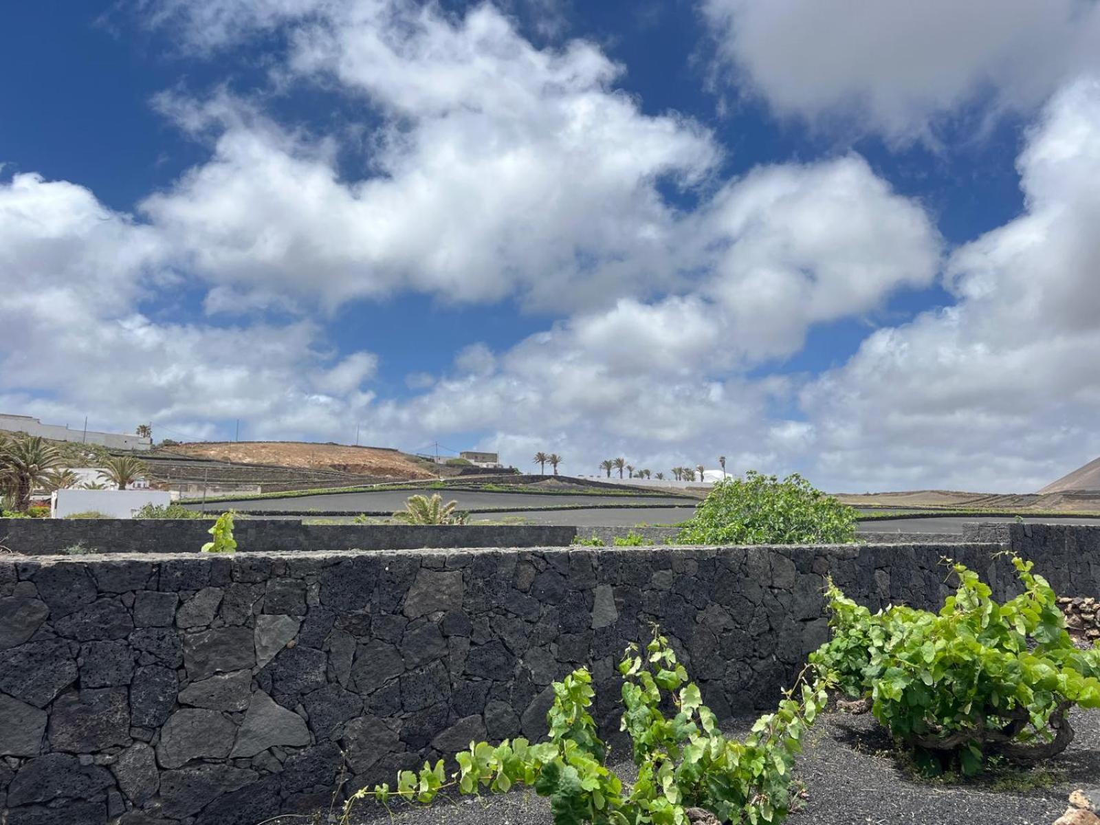 La Vegueta Casa Carlaヴィラ エクステリア 写真