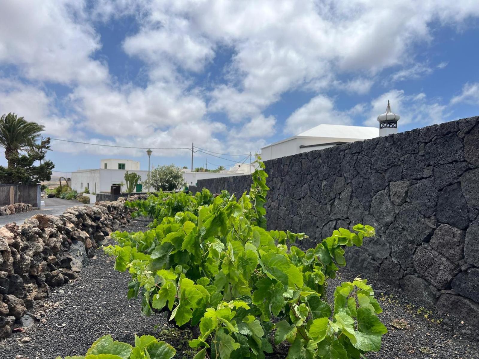 La Vegueta Casa Carlaヴィラ エクステリア 写真
